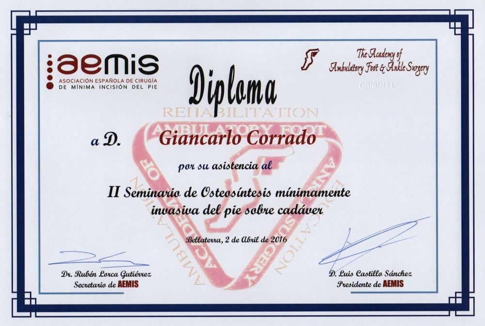 AEMIS 2016_corrado-