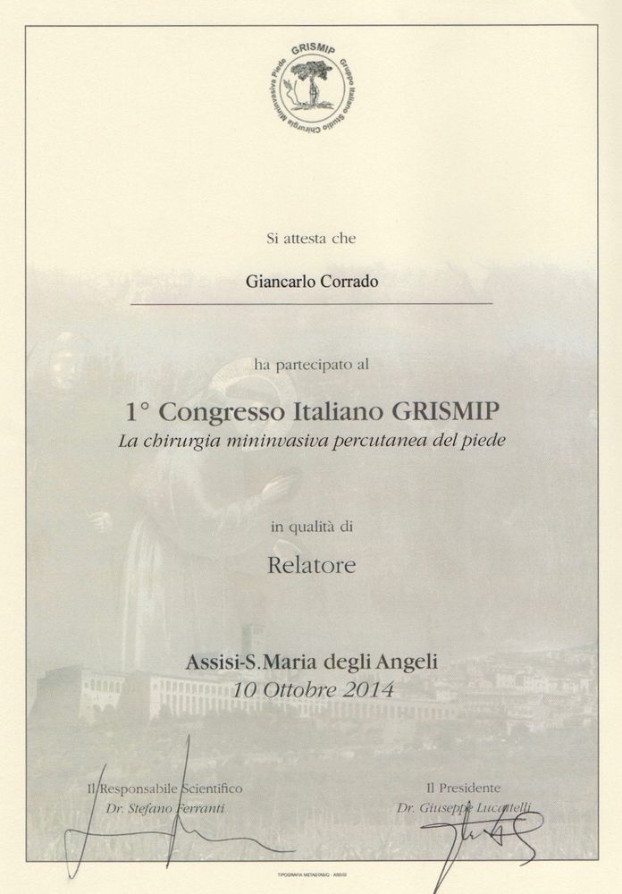 GRISMIP 2014_corrado-