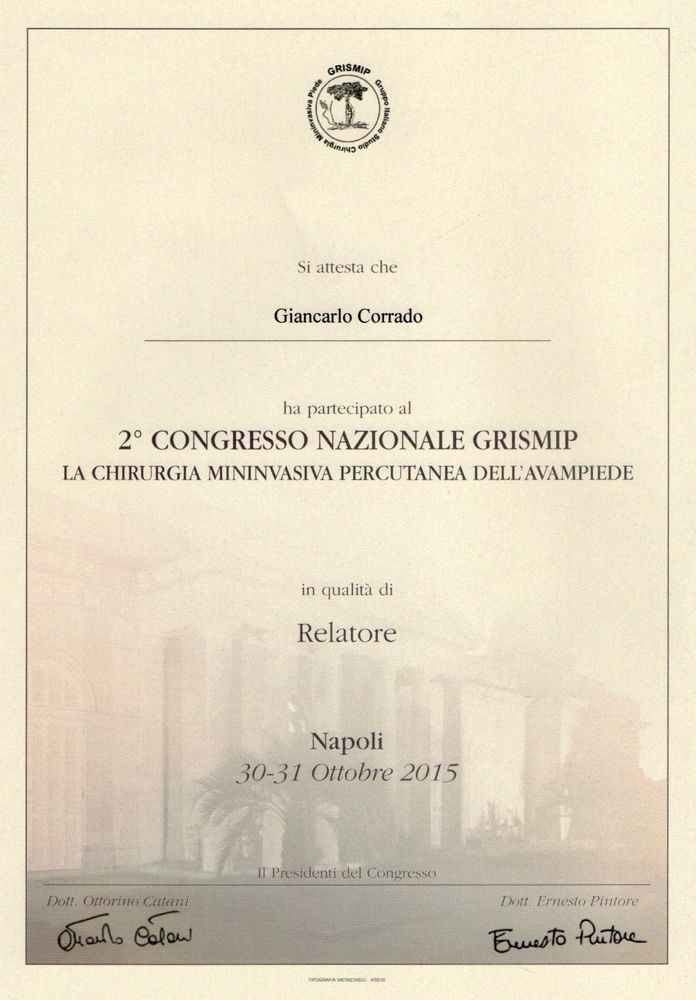 GRISMIP 2015_corrado-